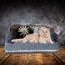 Gray Skies Cat Couch