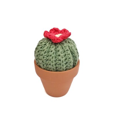 Cactus Amigurumi Bundle