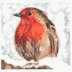Creative World of Crafts Robin Cross Stitch Kit - 22cm x 22cm