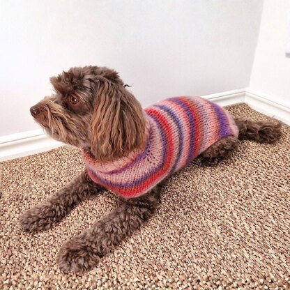 Easy-Peasy Pup Knit