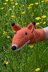 Fergus the Fox Hand Puppet