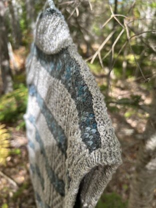 Trail Blazer Vest