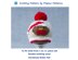 P149 Christmas Robin Hat Knitting Pattern