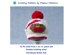 Christmas Robin Hat Knitting Pattern