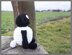 Crochet Pattern for the Sheep Timm!