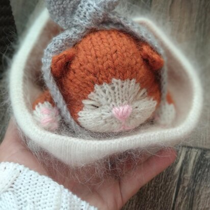 Sleepy kitten knitting pattern. Scottish fold kitten knitting pattern