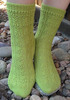 Cactus Flower Socks