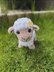 Plush Sheep Toy