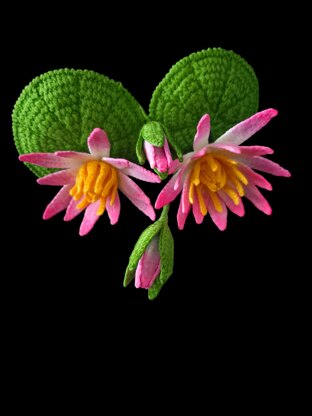 Crochet Water lily flowers pattern