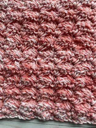 Coral Splash Dishcloth