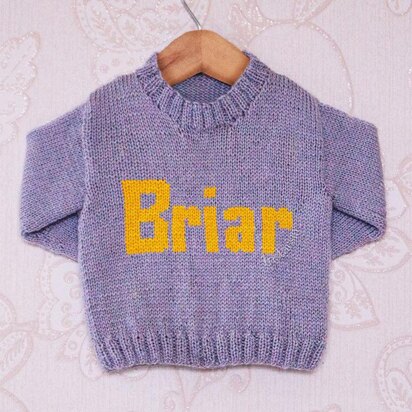 Intarsia - Briar Moniker Chart - Childrens Sweater