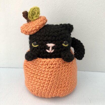 Crochet Cat in a Pumpkin