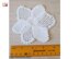 Large white flower with 6 petals