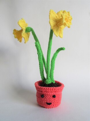 Daffodils in a Pot Chocolate Orange Cover Cozy