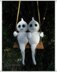 Swinging together forever ghosties