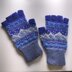 Rocky Mountain Fingerless Gloves