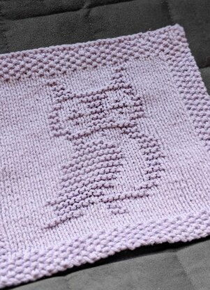 Cute Owl Dishcloth