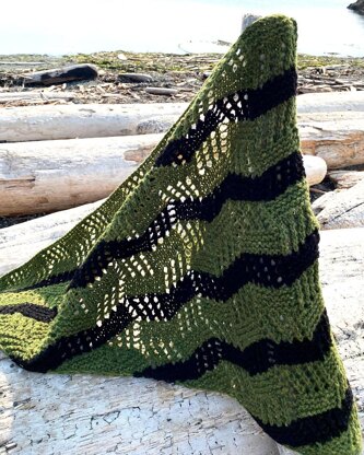 Tilting at Windmills Shawl