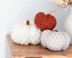 The Cozy Pumpkin