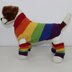 Rainbow Dog Coat and Legwarmers