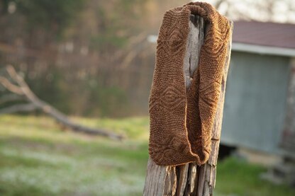 Old Brown House Infinity Scarf