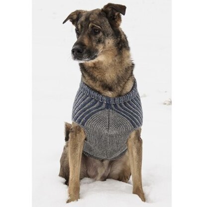Bird Island Dog Sweater in Blue Sky Fibers Woolstok - 201610 - Downloadable PDF