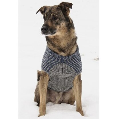 Bond & co clearance henley knit dog sweater