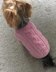 Pink Dog Sweater