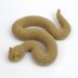 Horned viper