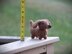 Dachshund Car Charm