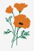 DMC Californian Poppy - PAT0884 - Downloadable PDF