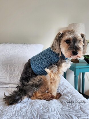 Chewy's Dog Sweater