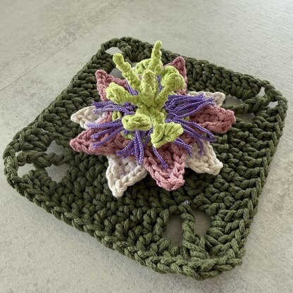 Passion Flower Granny Square