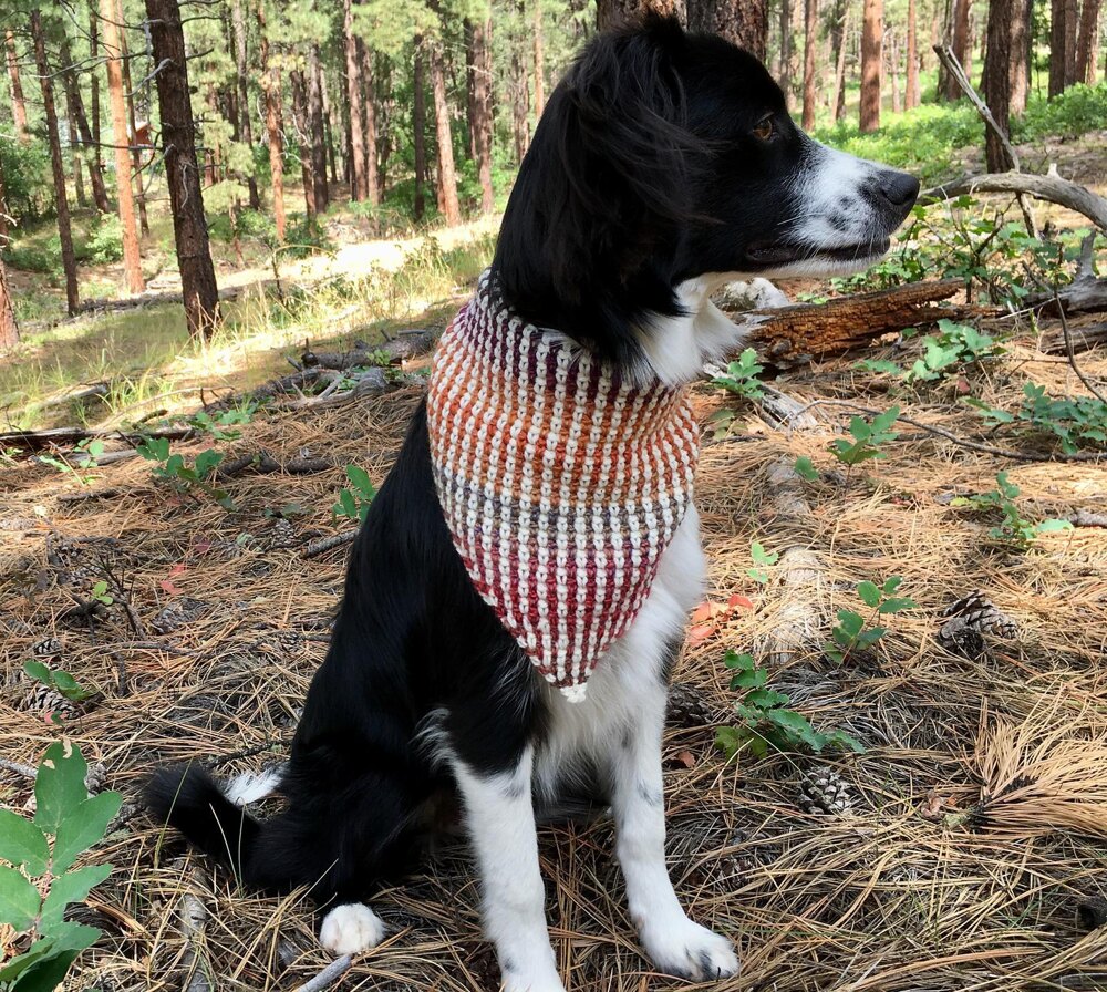 Easy crochet outlet dog bandana