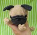 Pug