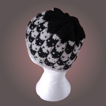 Cat Attitude All Round