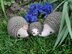 Hedgehog family amigurumi