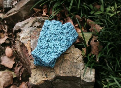 Trailside Mitts