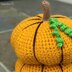 Assorted Crochet Pumpkins with Curly Vines