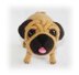 Dog Puppy Pug Crochet Pattern