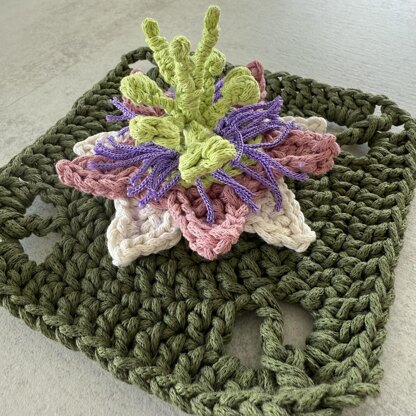 Passion Flower Granny Square