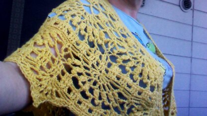 Dent de lion Shawlette