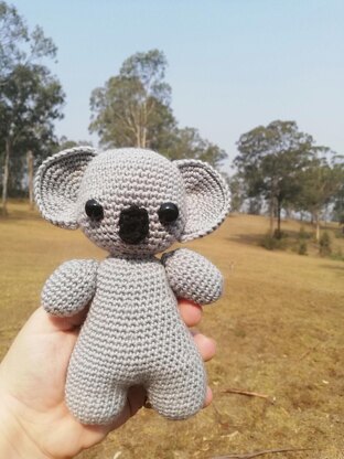 Kirra Koala