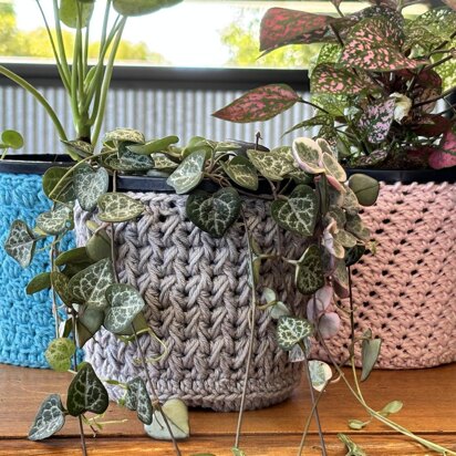 Trio of Pot Plant Covers