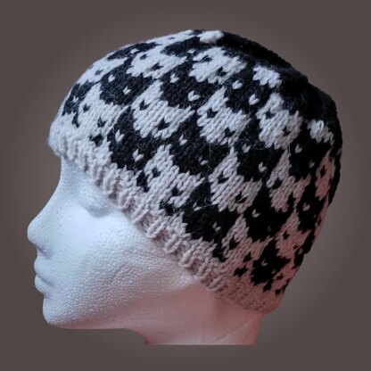 Cat Attitude All Round