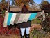 Blue Ridge Wrap