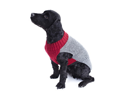 Dog Coats in King Cole Pricewise DK in King Cole - 5570 - Leaflet