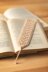 Daisy Bookmark