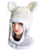 Cute Hats to Knit 5 - bicycle, raspberry beret, motorbike, Artic fox