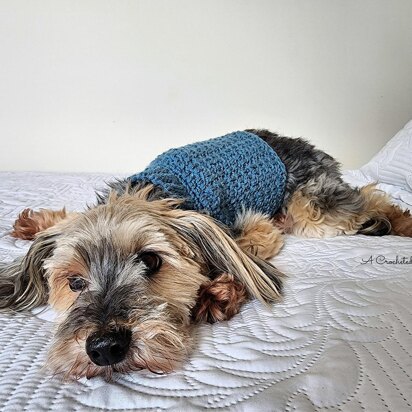 Crochet Granny Square Sweater in Red Heart Soft Solids - WR1095